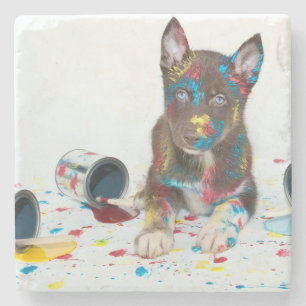Silly Husky Puppy got into Paint Buckets Stone Coaster