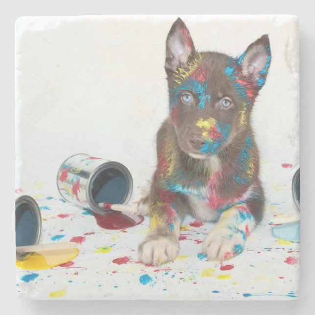 Silly Husky Puppy got into Paint Buckets Stone Coaster (Front)
