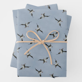 Silly Landing Pelican Pic Wrapping Paper Sheets