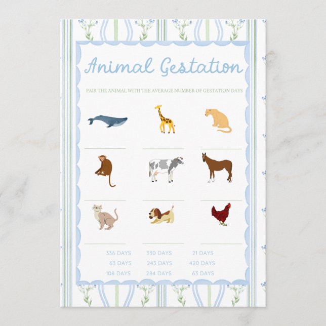 Silly Little Goose Baby Shower Games (Front)