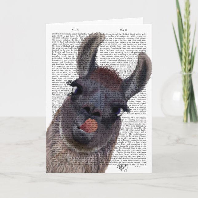 Silly Llama Card (Front)