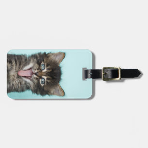 Silly Merlin Kitten Luggage Tag