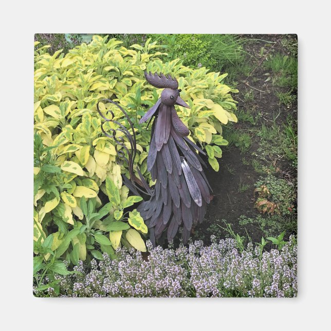 Silly Metal Rooster Magnet (Front)