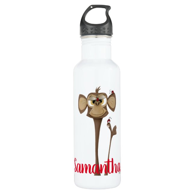 Silly Monkey and Ladybugs 710 Ml Water Bottle (Front)