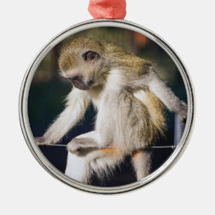 Silly Monkey Metal Ornament