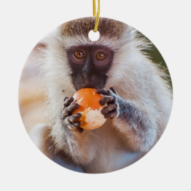 Silly Monkey with Orange Ceramic Ornament (Front)