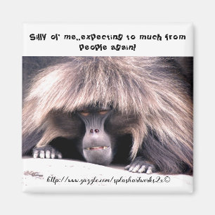 "Silly Ol' me.." Magnet