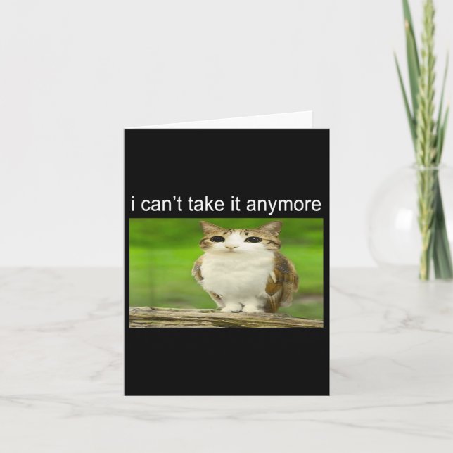 Silly Owl Cat Meme I Can't Take It Anymore  Card (Front)
