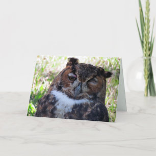 Silly Owl Greeting Card