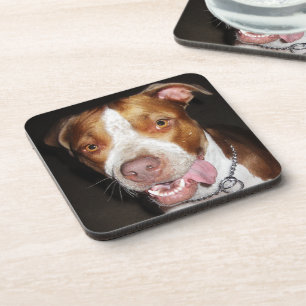 Silly Pitbull Portrait Coaster