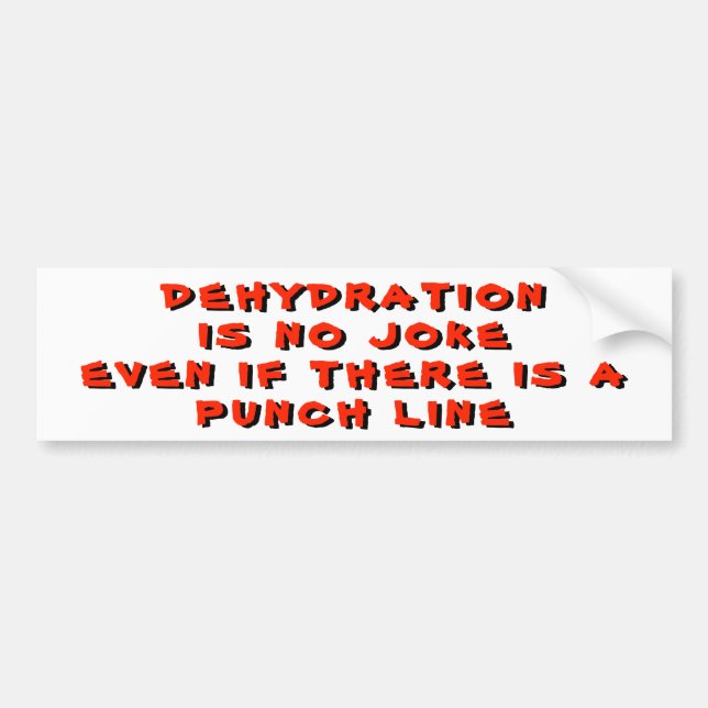 Silly Punch Line Pun Bumper Sticker (Front)