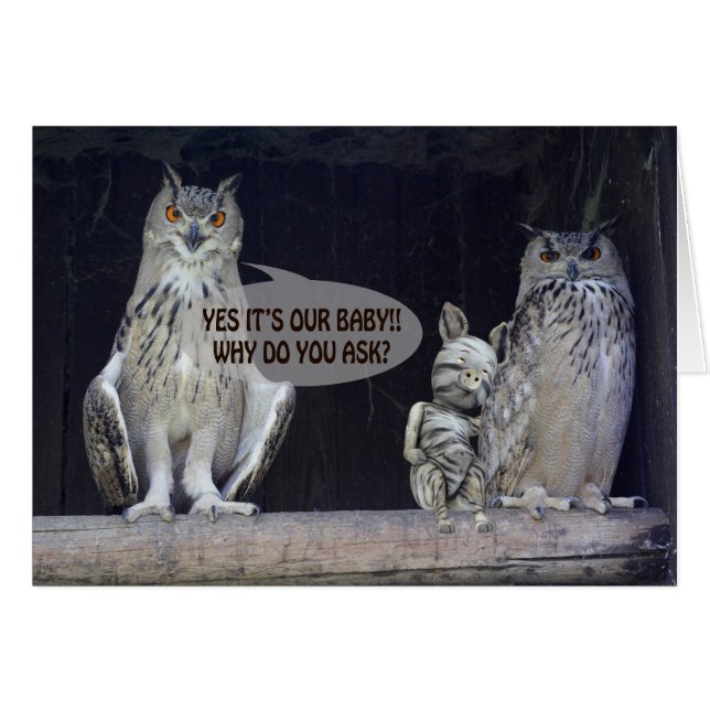 Silly Question (Front Horizontal)