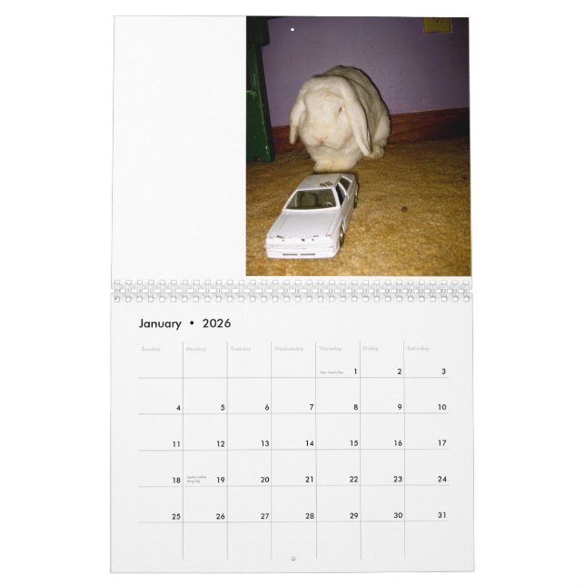 silly rabbit calendar (Jan 2026)
