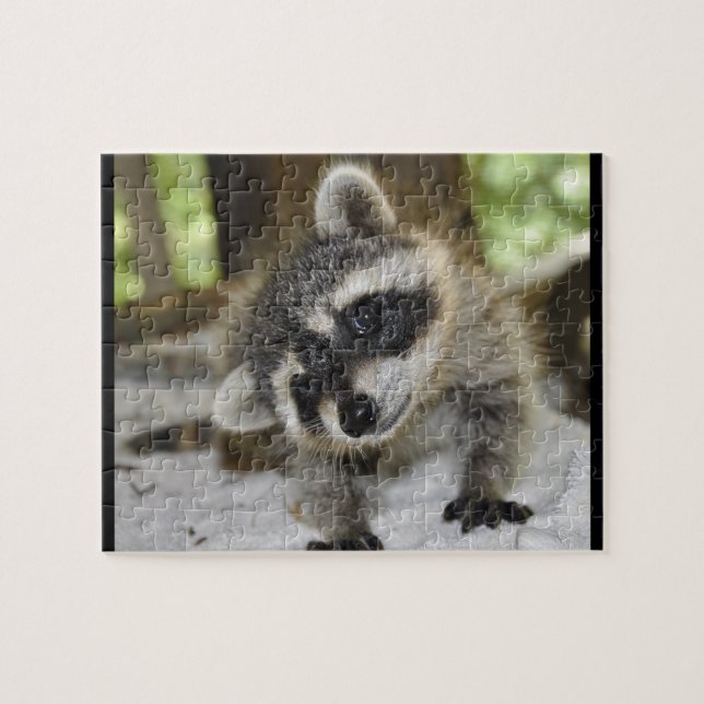 Silly Racoon - Puzzle (Horizontal)