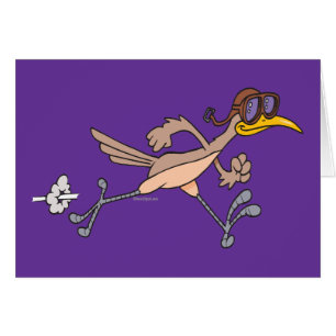 silly roadrunner bird cartoon