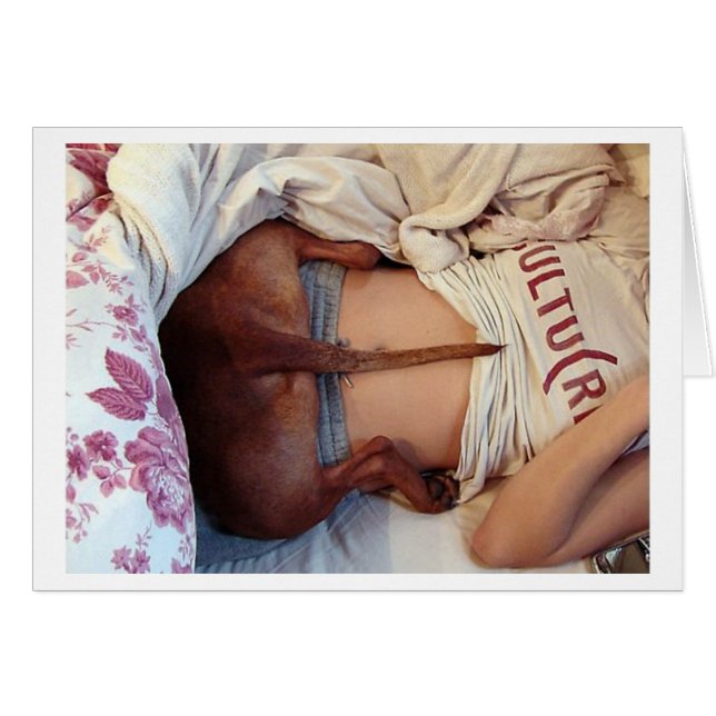 Silly Sleepy Pitbull! (Front Horizontal)