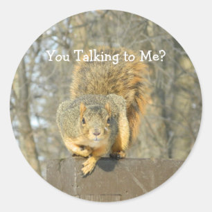 Silly Squirrel  Classic Round Sticker