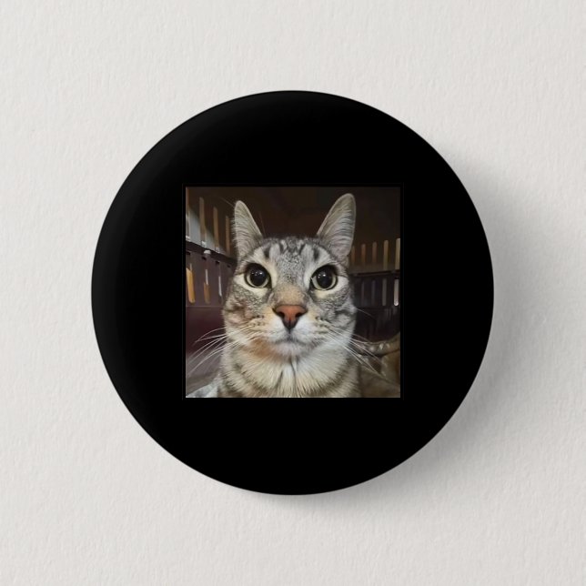 Silly Staring Cat Meme  6 Cm Round Badge (Front)