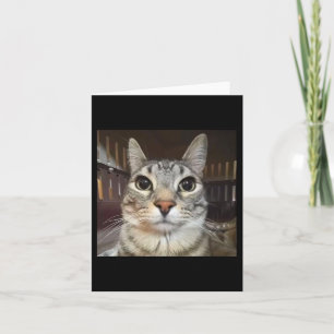 Silly Staring Cat Meme  Card