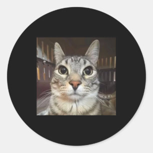 Silly Staring Cat Meme  Classic Round Sticker