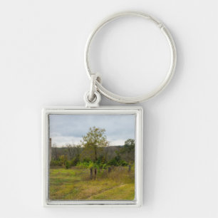 Silo Still Stands Key Ring