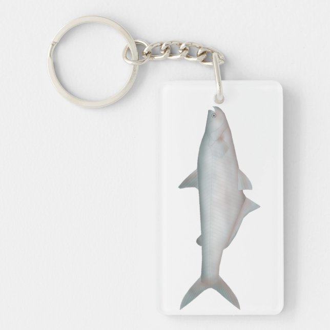 Silond Catfish Key Ring (Front)