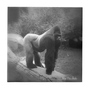 Silveback Gorilla Ceramic Tile