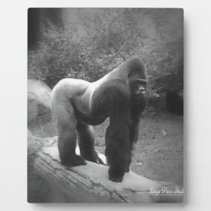 Silveback Gorilla Plaque