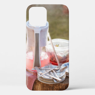 Silver-and-blue floral ceramic plates and pitcher iPhone 12 case