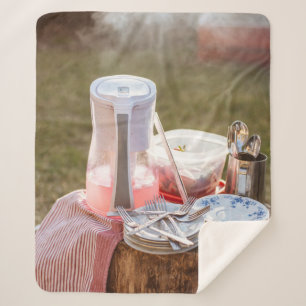 Silver-and-blue floral ceramic plates and pitcher sherpa blanket