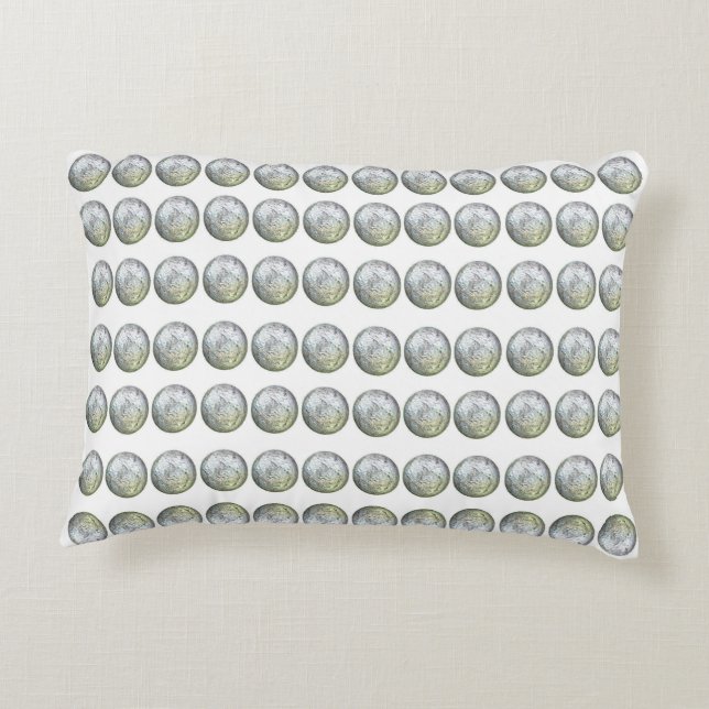 Silver  and White Accent Pillow (Back)