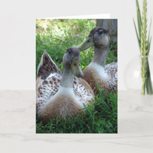 Silver Appleyard Drakes Card