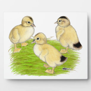 Silver Appleyard Ducklings Plaque