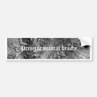 Silver Beauty Bumper Sticker