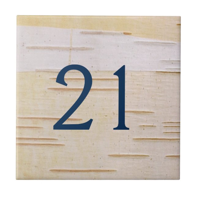 Silver Birch Bark House Number Tile (Front)