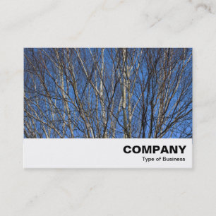 Silver Birch Branches 02 Business Card