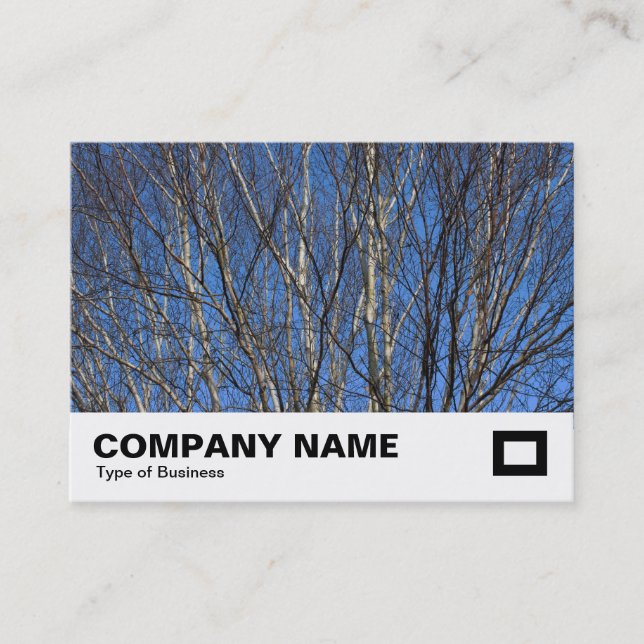 Silver Birch Branches 02 Business Card (Front)