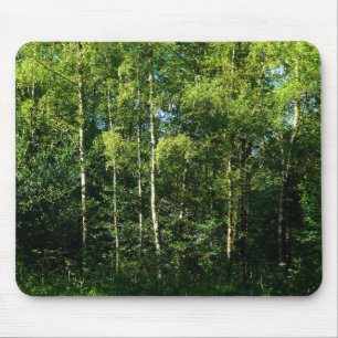 Silver Birch Mouse Pad