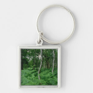 Silver birch trees and ferns, Sherwood Forest Key Ring