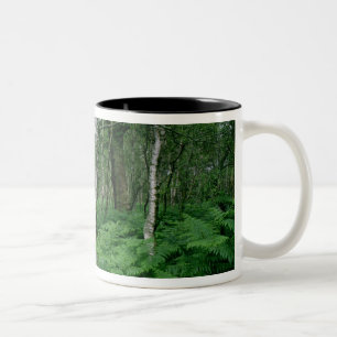 Silver birch trees and ferns, Sherwood Forest Two-Tone Coffee Mug