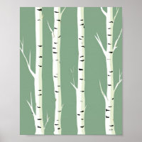 Silver Birch Trunks
