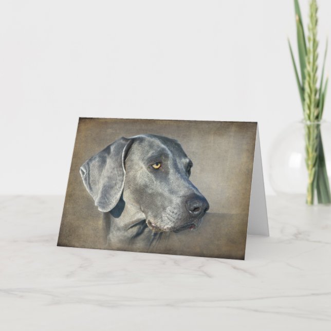 Silver Blue Weimaraner Portrait Card (Front)