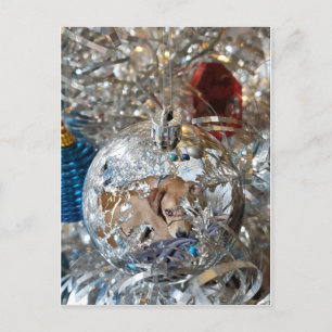 Silver Bulb Reflect Postcard