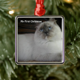 Silver Cat My First Christmas Photo Ornaments