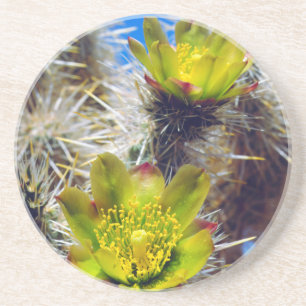 Silver Cholla Cactus Wildflowers Coaster