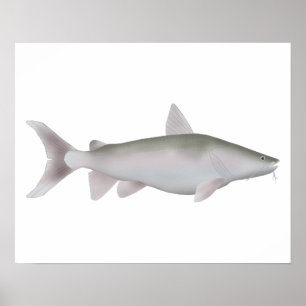 Silver Cobbler Poster