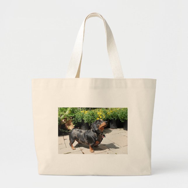 Silver Dapple Dachshund Buddy 2 Large Tote Bag (Front)