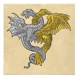 Silver Dragon and Golden Eagle Photo Print