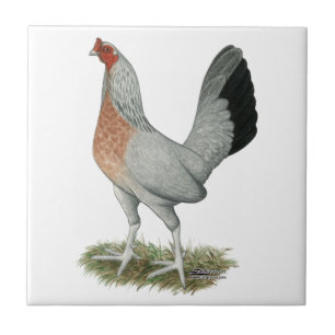 Silver Duckwing Game Hen Ceramic Tile