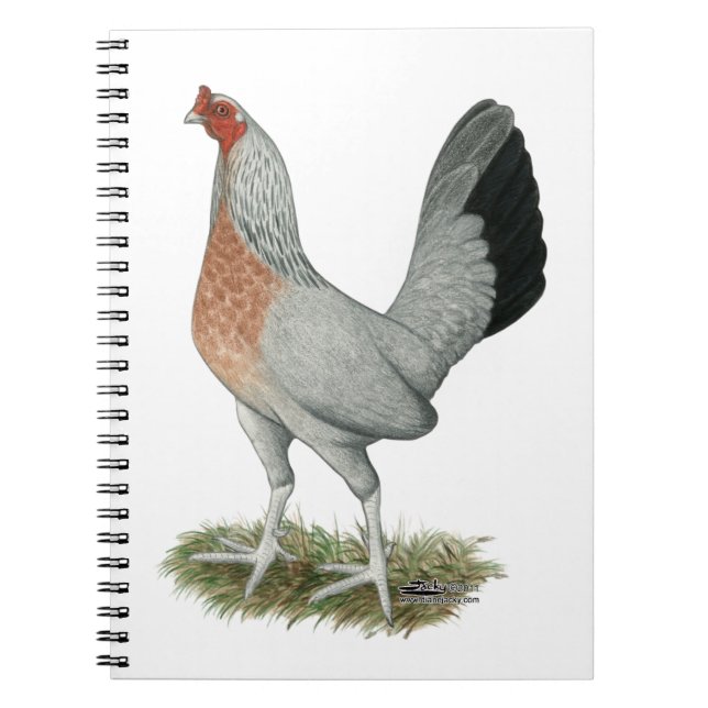 Silver Duckwing Game Hen Notebook (Front)
